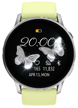 Silver Flutter 4