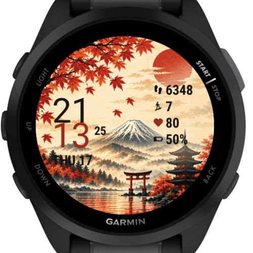 Harmony of Japan: Autumn · Screenshot 3