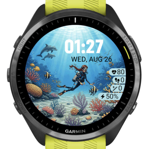 Coral Reef Diver Animated · Screenshot 2