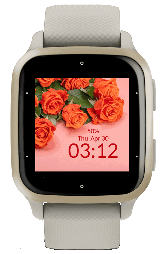 Orange Roses 6