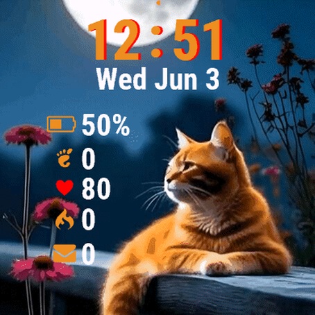Cat Sitting Fence Looking · Screenshot 1