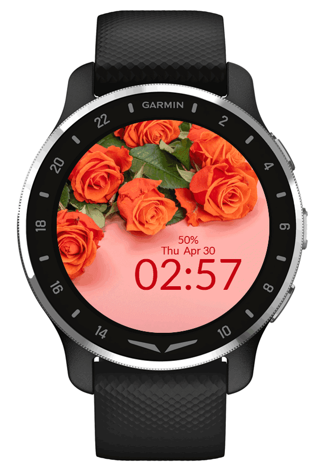 Orange Roses 3