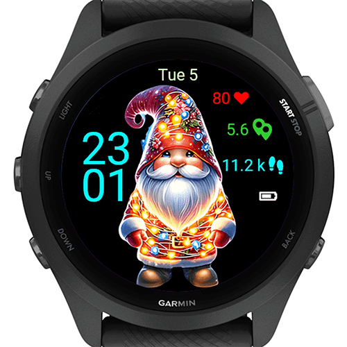 Christmas Gnome G · Screenshot 0
