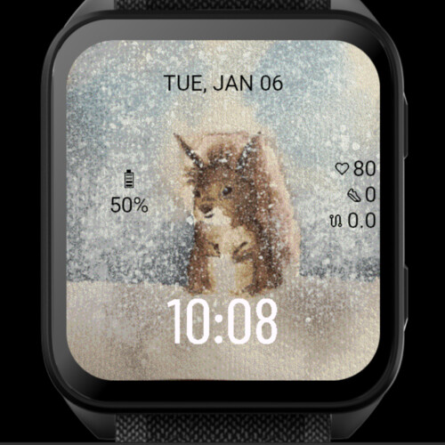 Winter Squirrel Watercolor · Screenshot 2