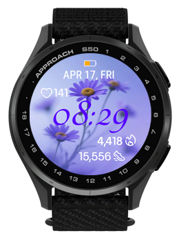 Violet Petal 3