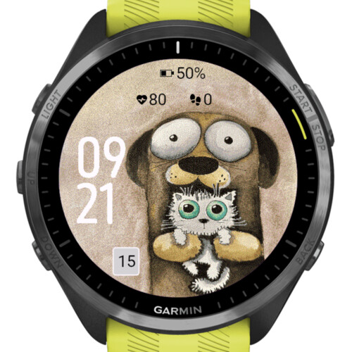 Funny Dog and Kitten 4
