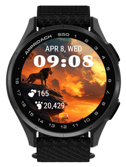 Lion Sunset · Screenshot 3