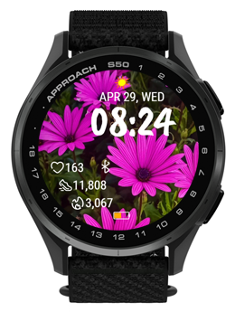Wild Purple 3