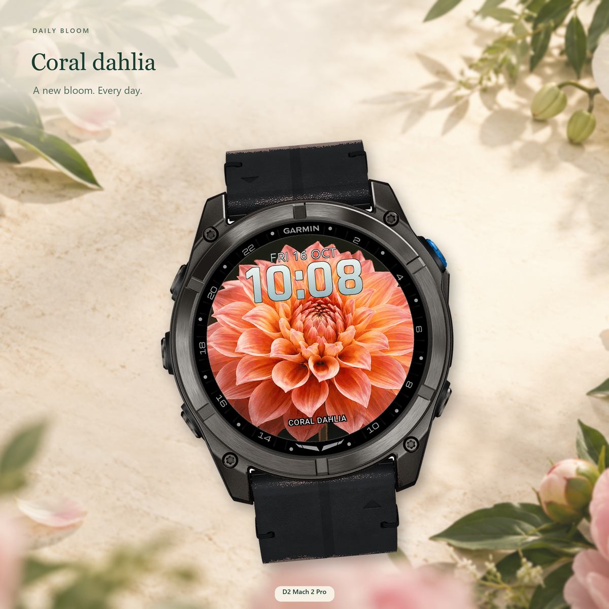 Daily Bloom · Snímek obrazovky 4
