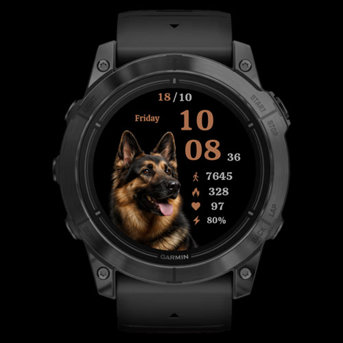 Shepherd Digital 2