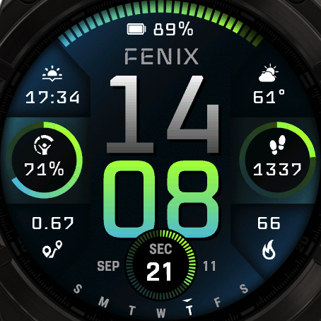 Fenix 8 V3 PRO - GB 2