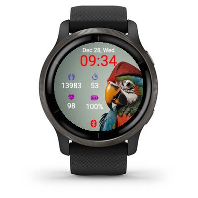 Pirate Parrot · Screenshot 0