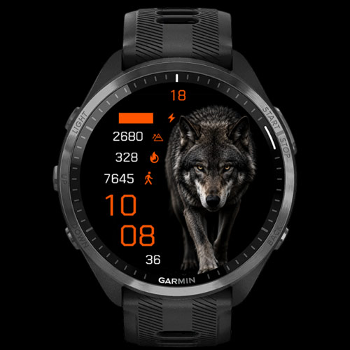 Night Wolf · Screenshot 3