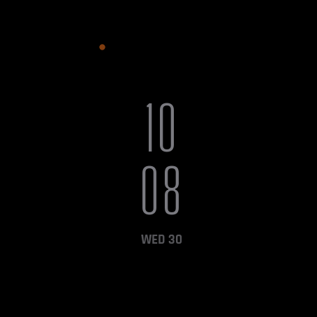 Dayline Lite · Screenshot 3