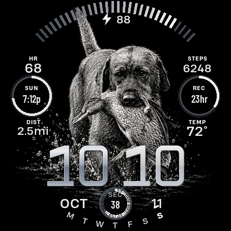 Ink · Screenshot 0