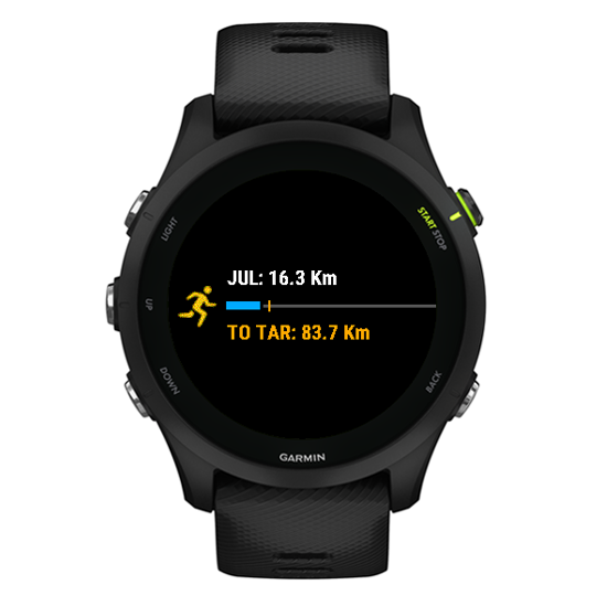 Monthly Running Distance Goal Widget · Screenshot 3