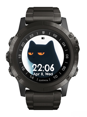 Black cat · Screenshot 1