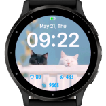 Black and White Cat · Screenshot 1