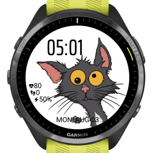 Funny Animated Cat · Screenshot 2