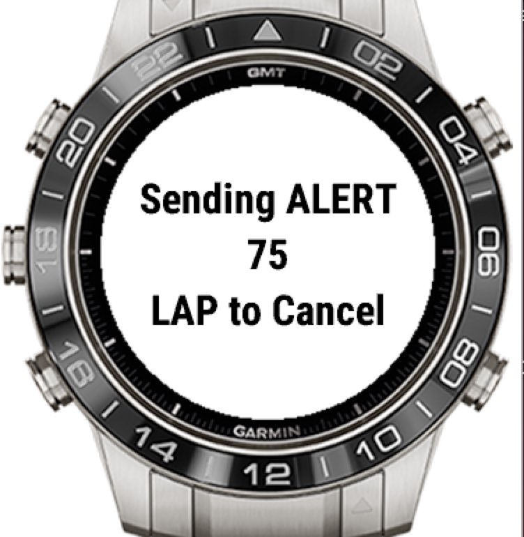 F3b RunSafe+ · Screenshot 1
