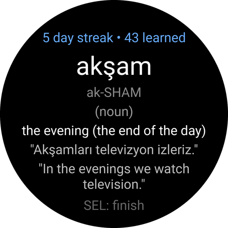 VocabLearn - Turkish · Screenshot 3