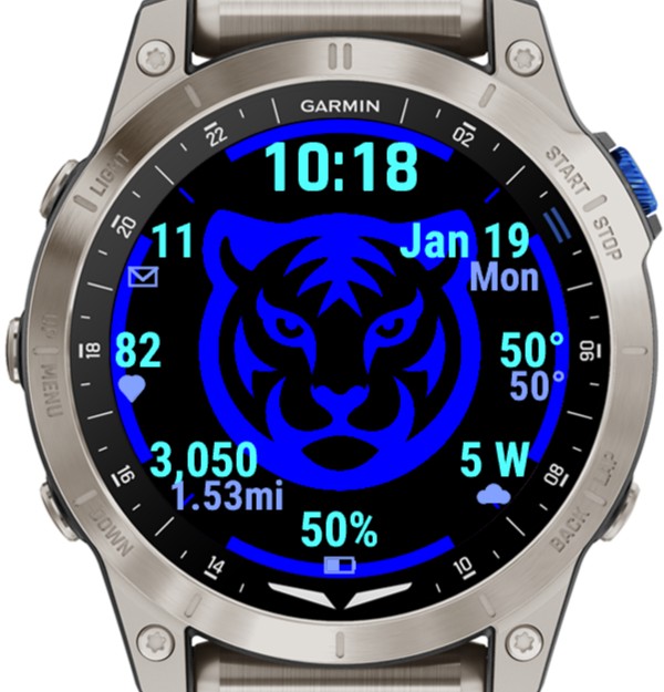 Tiger 虎 - Zodiac Sign 3