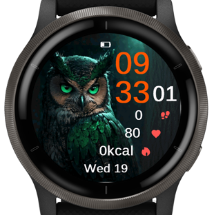 Green Owl · Screenshot 1