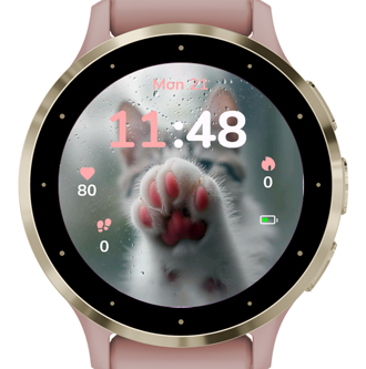 Rainy Paws · Screenshot 0