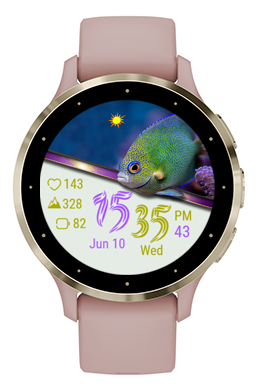 Fairy Fish · Screenshot 0