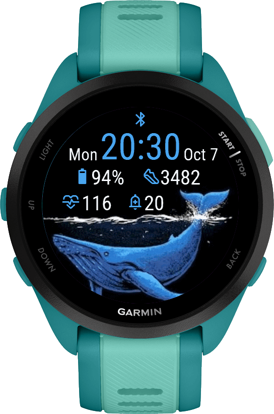 Whitewhale · Screenshot 0
