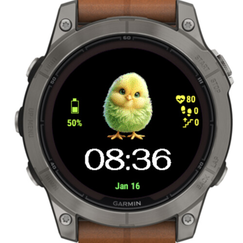 Cute Chick 2