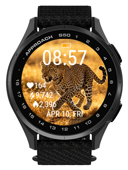 Savannah Leopard · Screenshot 1