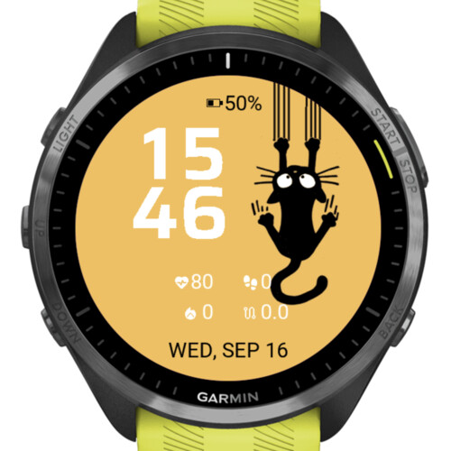 Funny Hanging Cat · Screenshot 2