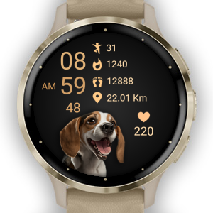Dog 06 - Beagle · Screenshot 4