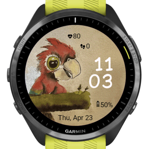 Funny Parrot 4