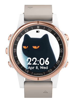 Black cat · Screenshot 2