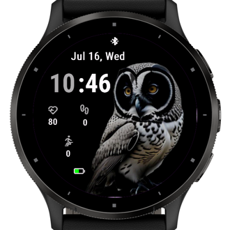 Gaze Owl · Screenshot 1