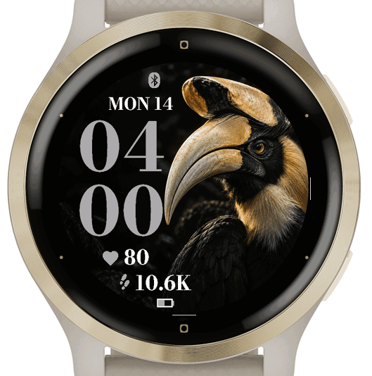 Onyx Hornbill · Screenshot 2