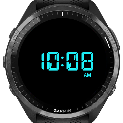 Digitalis Hud · Screenshot 1