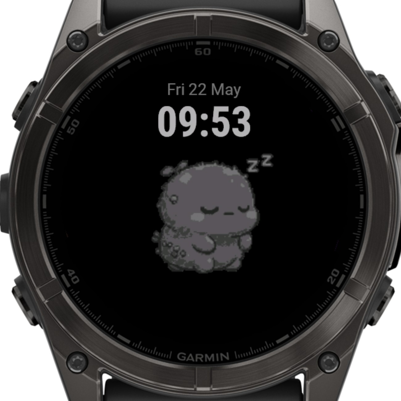 SkyLing Face - your pet on your watch face · Screenshot 1
