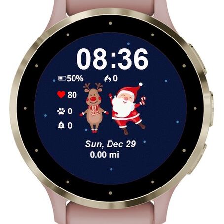 Santa and Reindeer · Screenshot 0