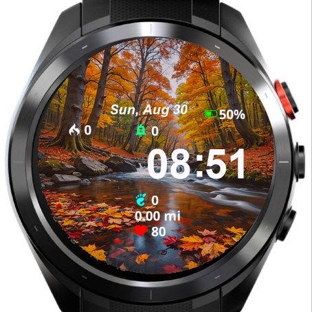 View Fall Leaves Water Rocks · Screenshot 1